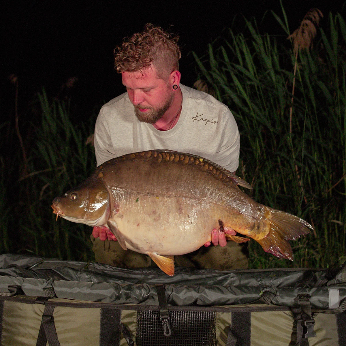 PINNA - Organic T-Shirt 2.0